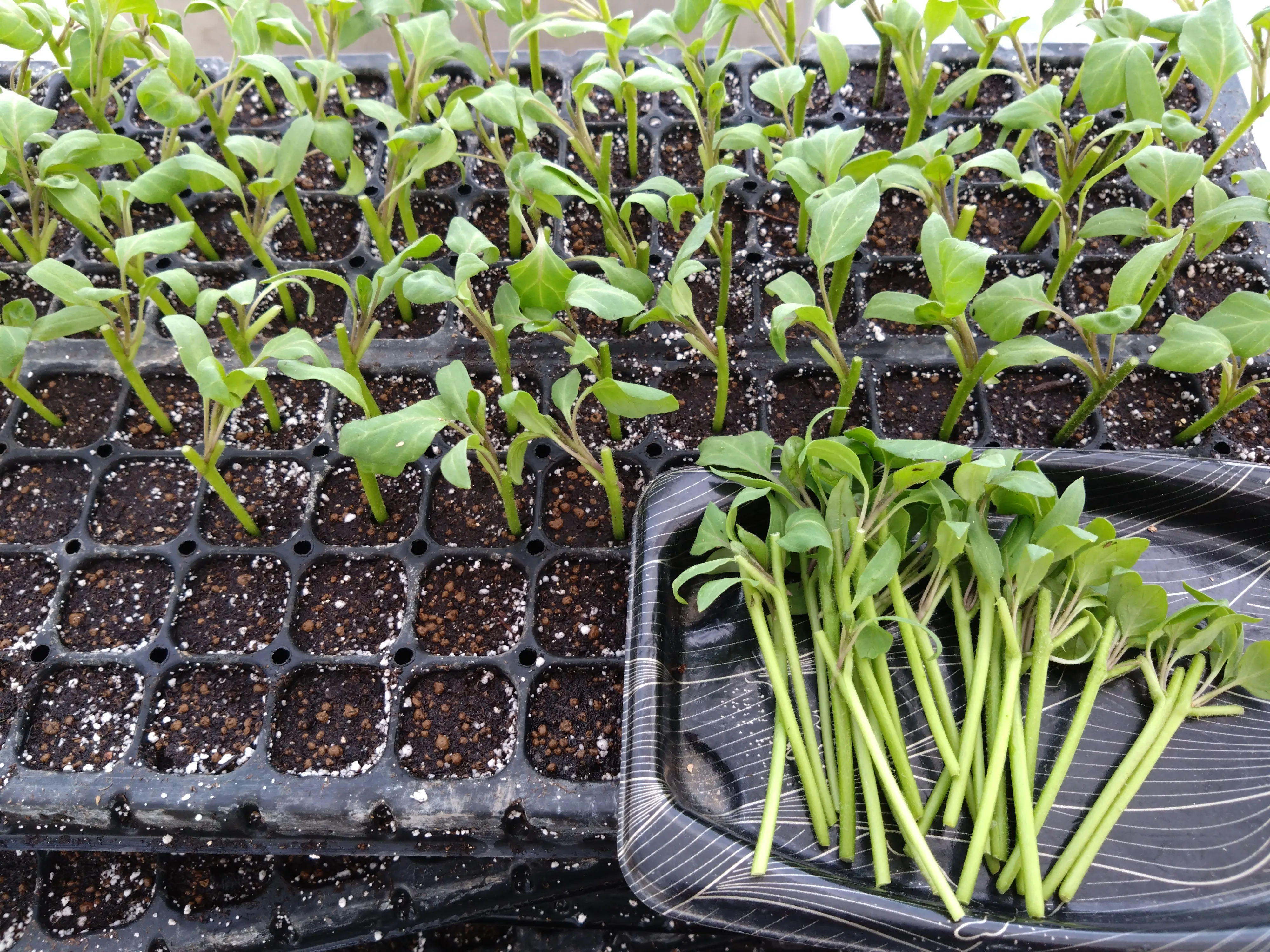 ギター加工の様子1